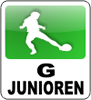 Sportfest 2013 – Turnier G-Jugend